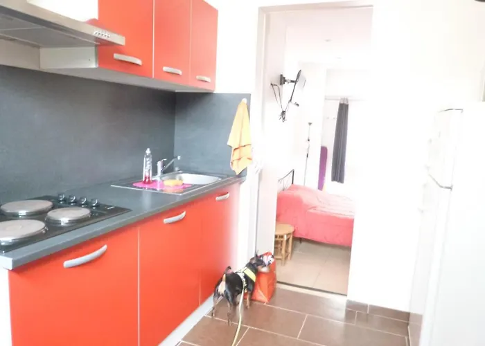 Hoteliere Le Gambetta *